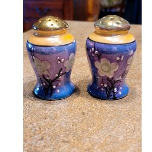 Vintage Hand Painted Ceramic Salt Pepper Shakers Made in Japan Floral Design